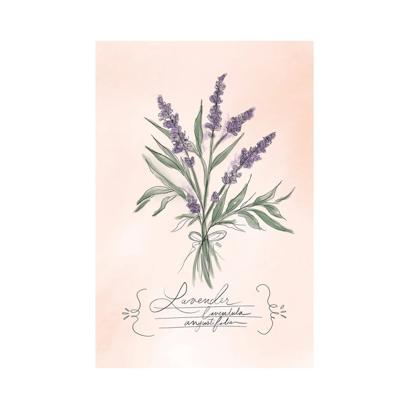 Lavender by Lily & Val - Gallery-Wrapped Canvas Giclée on Canvas, Wrapped Canvas, 20.32 cm H x 30.48 cm W