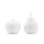 2 Piece Apple and Pear Porcelain Sculpture Set