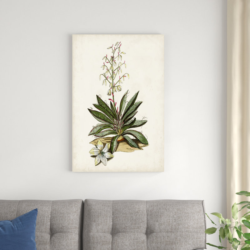 Étude botanique antique I, H 36 po x l 24 po x P 1,25 po