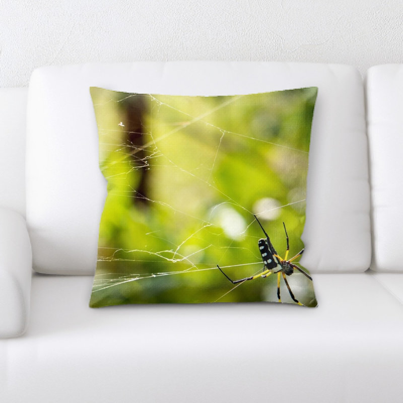 Coussin de spider