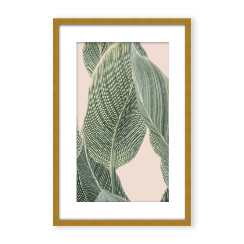 Coastal Retreat Calla Leaf by  - Picture Frame Graphic Art on Paper, 24" H x 16" W x 1.125" D, Framed Matted Print, Beige