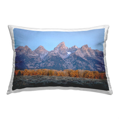 Throw Pillow