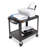 SteelCart Open Shelf Fixed Height Table AV Cart