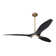 IC Brisa LED Ceiling Fan