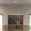 Vine 3 - Light Pendant-568762806
