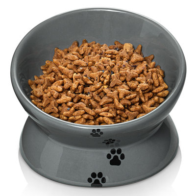 Elevated Cat Food Bowl
