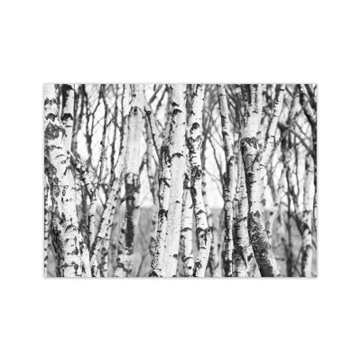 Off the Beaten Path 1 Piece Wall Art