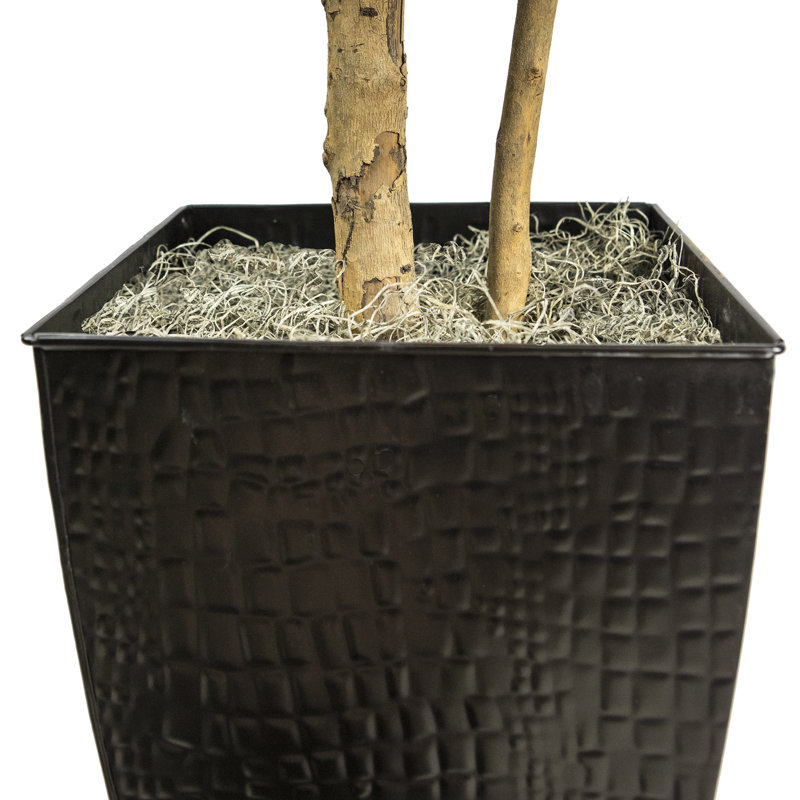 Figuier artificiel dans un panier, Noir