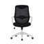 Mesh Office Chair-310394217