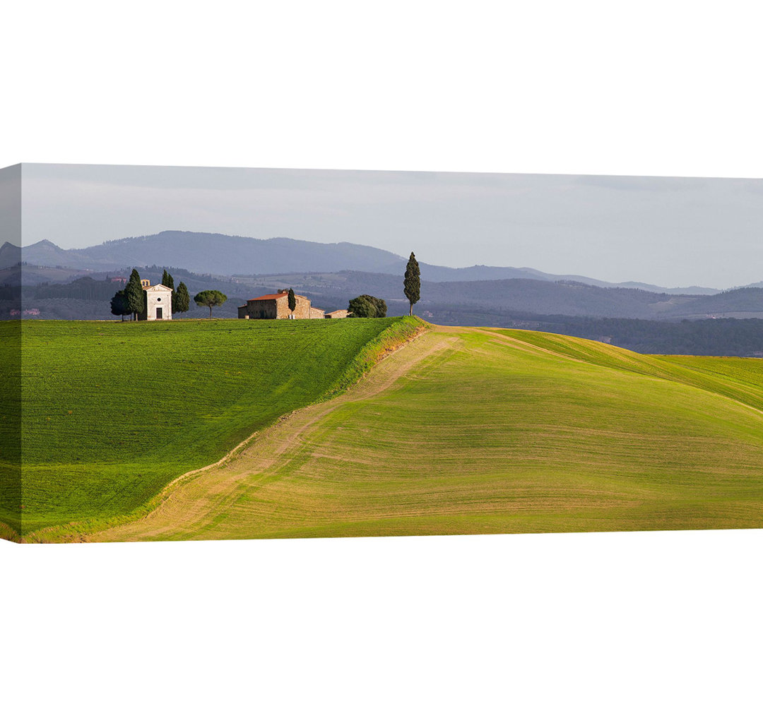 Leinwandbild Italian Landscape: Val D'orcia, Siena, Toskana (Detail) von Pangea Images