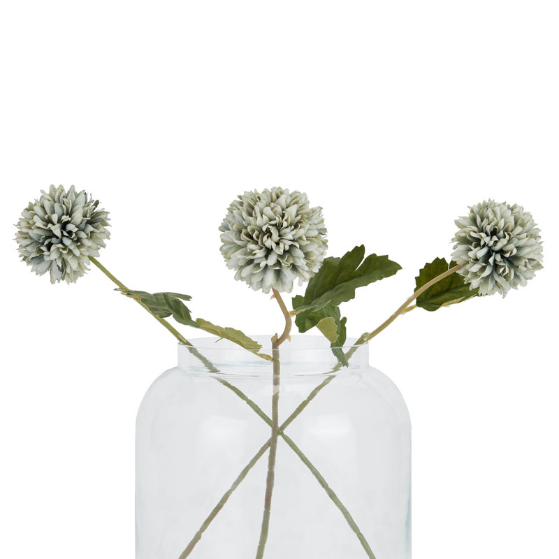 Anastasija Arrangement