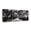 Ensemble de 3 pièces sur toile Trees BW Forest Path-93059691