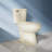 17.5" Elongated ADA Height Toilet 2-Piece Tall Toilet for Seniors, 1.28 GPF Single Flush Bone,  Map Flush 1000g with Soft Close Seat-110223127