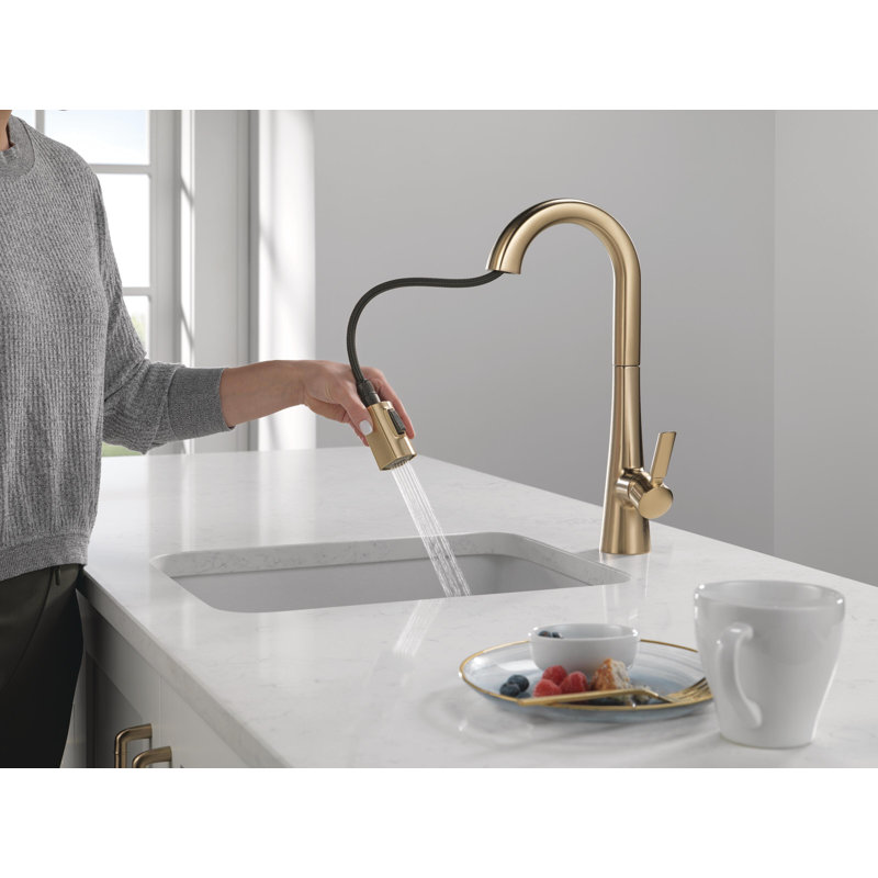 Monrovia Bar Faucet with Pull Down Sprayer, Champagne Bronze