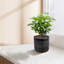 Ensemble de 3 pots de fleurs faits à la main en céramique, intérieur et extérieur pour plantes grasses, herbes, argile respirante-129250735