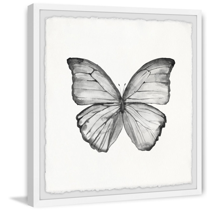 Grey Lace Wings by Marmont Hill - Single Picture Frame Print, 41cm H x 41cm W x 3.81cm D