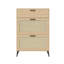 12 Pair Shoe Storage Cabinet