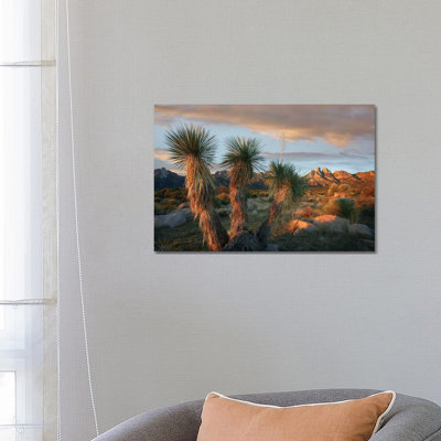 Yucca and Organ Mountains Near Las Cruces, New Mexico 1 Piece Wrapped Canvas Wall Art