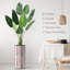 Arbre artificiel signleader-593772050