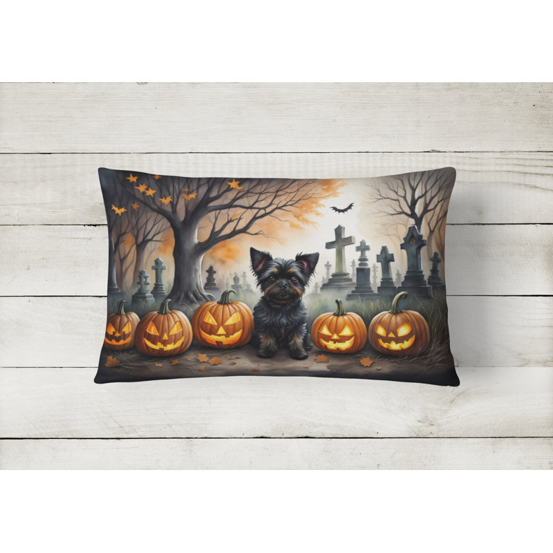 Other/No Pattern Outdoor Throw Pillow