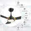 52'' Ceiling Fan with LED Lights-1817224215