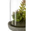 Sydnee 18cm Succulent in Cement Terrarium