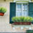 11.2'' Faux Grass