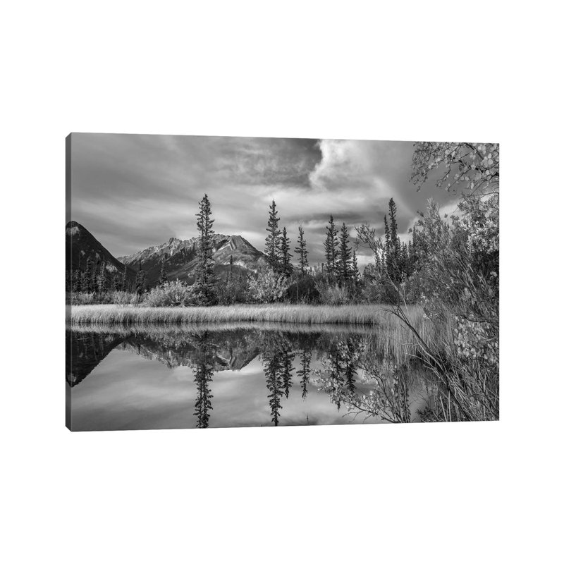 Taiga And Peaks, Moberly Flats, De Smet Range, Rocky Mountains, Jasper National Park, Alberta Canada by Tim Fitzharris - Gallery-Wrapped Canvas Giclée on Canvas