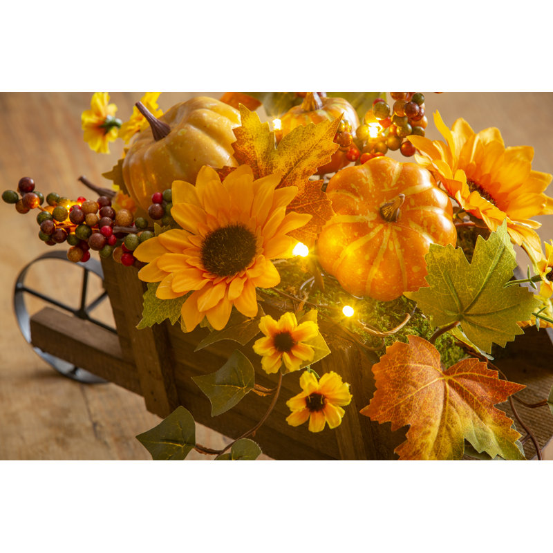 Tournesol dans un chariot