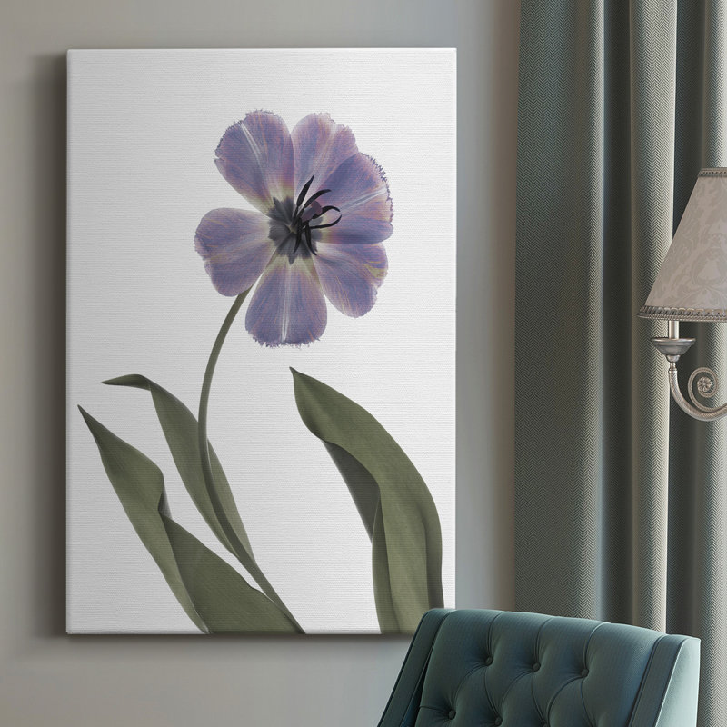 «Xray Tulip X», impression sur toile tendue, H 18 po x l 12 po x P 1 po