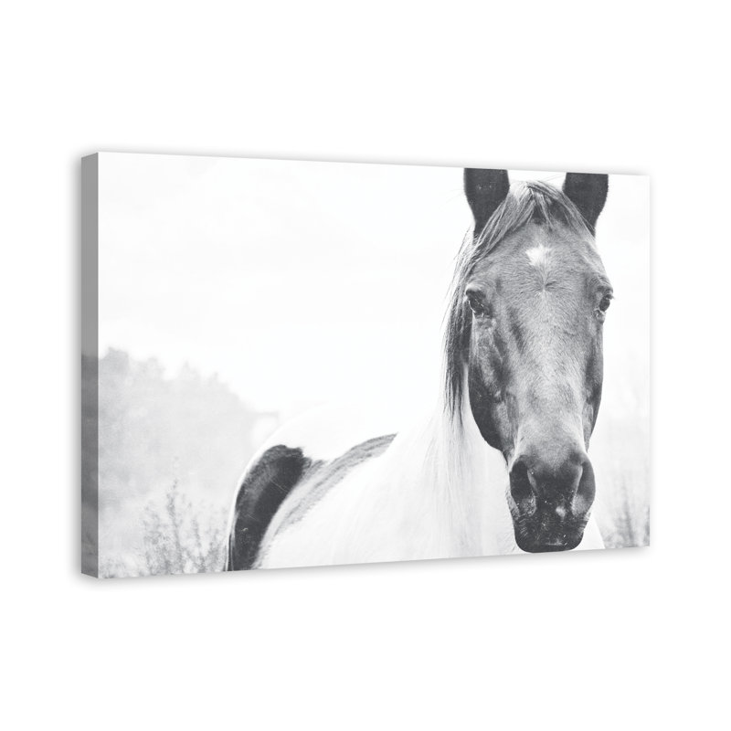 « solitaire cheval », impression sur toile, H 12 po x l 18 po, Toile tendue