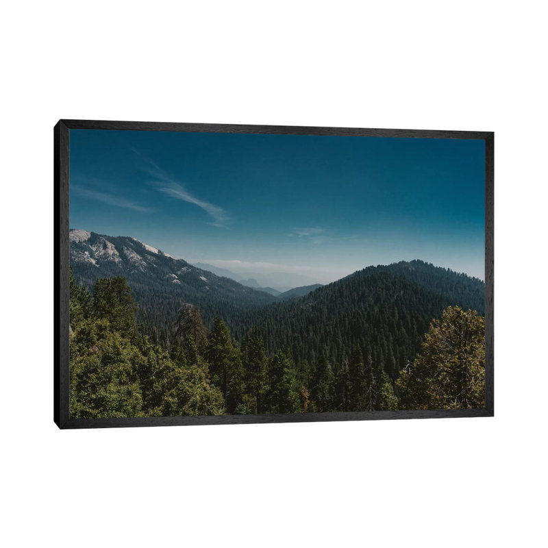 Sequoia National Park 1 Piece Wall Art on Canvas, 66.04cm H x 101.6cm W x 3.81cm D, Black Framed