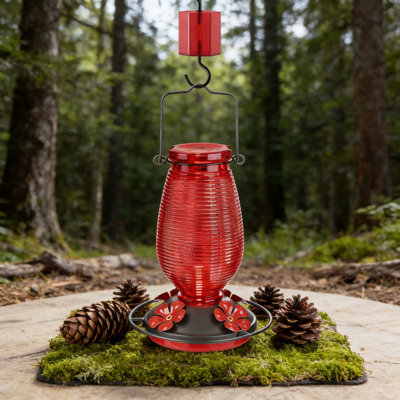 Mangeoire en verre pour colibris avec 4 abris anti-abeilles et douves à fourmis intégrées, mangeoire à oiseaux suspendue à l'épreuve des fuites de 20 oz pour l'extérieur, facile à nettoyer et à remplir, pour une utilisation durable toute l'année