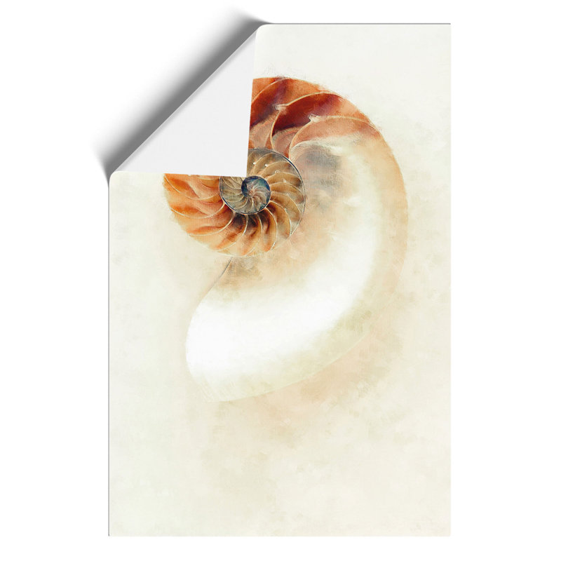 Mother Of Pearl Shell - No Frame Print, 30cm H x 21cm W x 0.1cm D