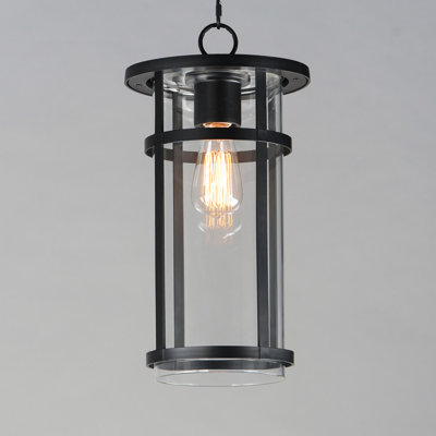 Audrick Transparent Outdoor Vivex Pendant