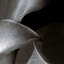 « calla cluster », reproduction d’impression sur toile tendue-708373881