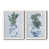 Blanc sélectionné