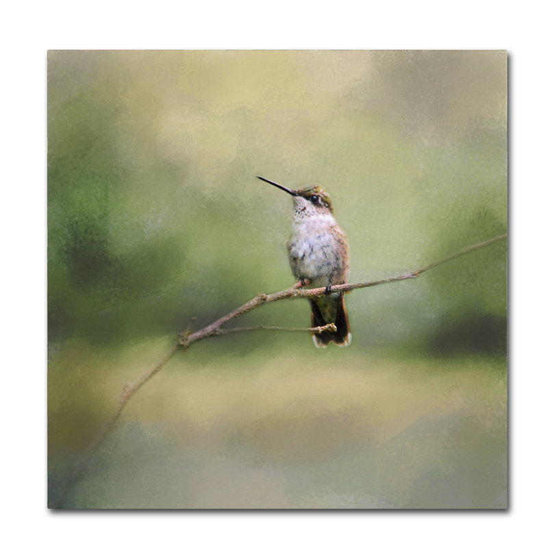 Tiny Visitor Hummingbird Canvas Art in Serene Colors