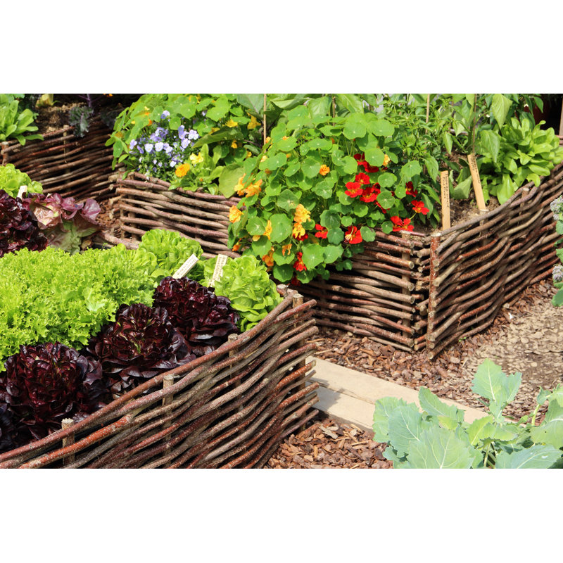 Herbes et légumes par Fotolinchen, H 8 po x l 12 po