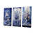 Toile tendue