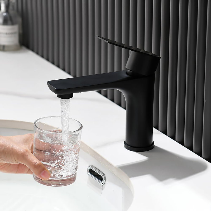 Robinet en acier inoxydable noir