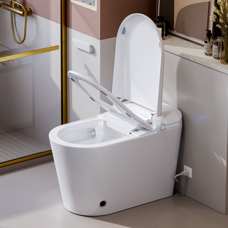 Elongated Smart Bidet Toilet with Heated Seat, Auto Open/Close Lid, Warm Water Wash, Warm Air Dryer(Remote Included), White