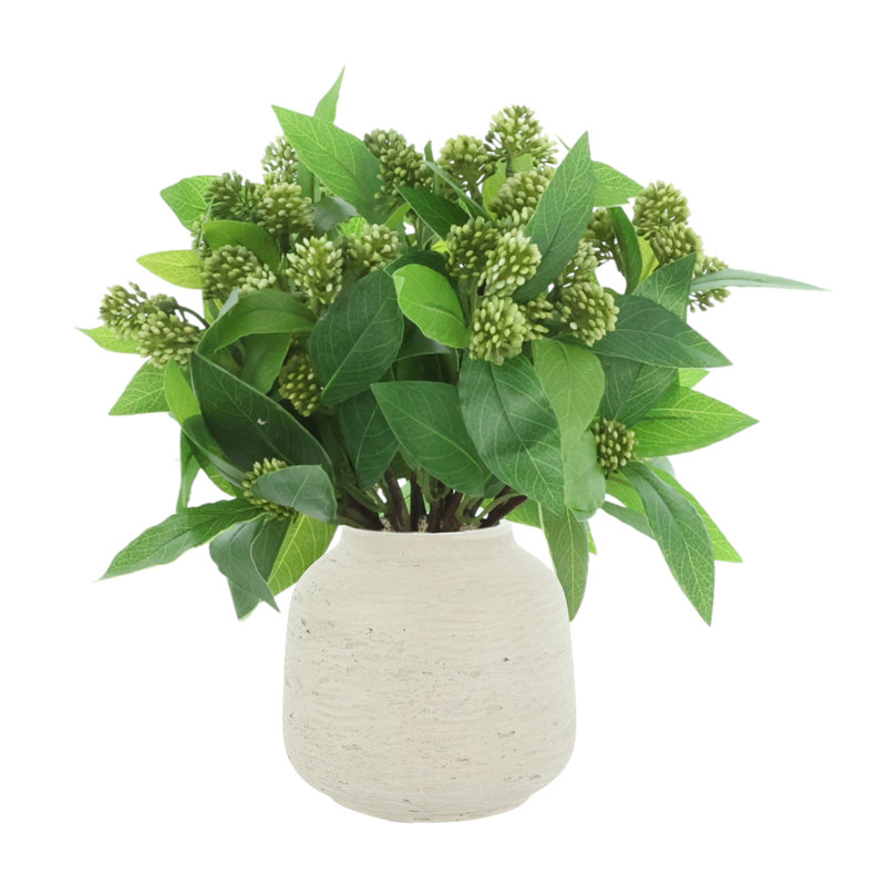 Sedum Bush dans un vase Fiberstone, Gris