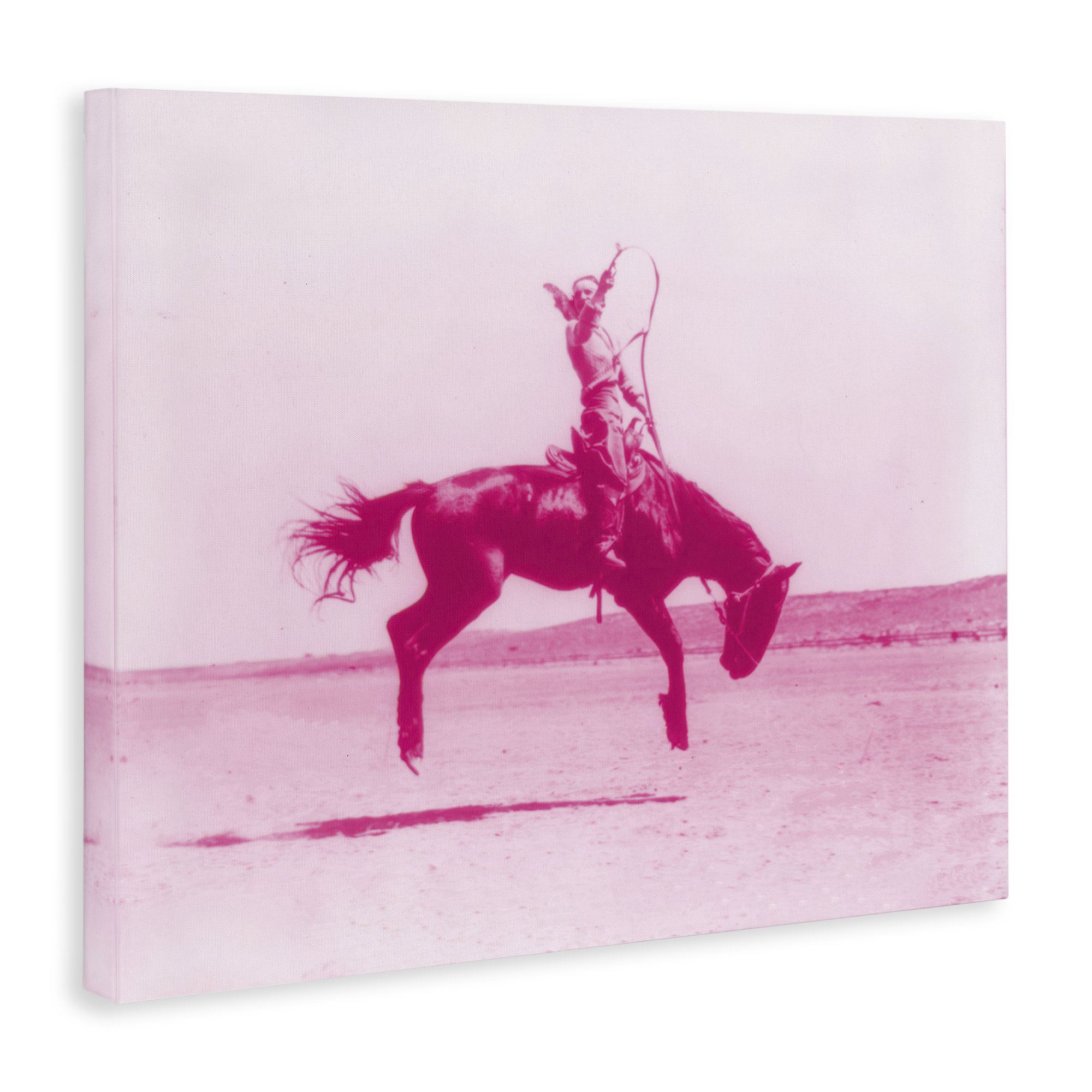 Dakota Fields Pink Galloping Cowgirl Canvas Wall Art by Daphne Polselli | Wayfair