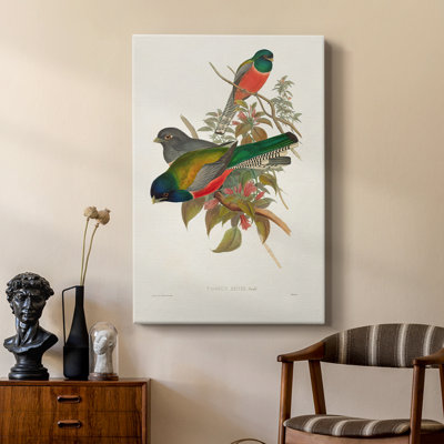 ElegantTrogonsVII - Cavas de galerie sur mesure