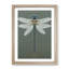 Breathtaking Dragonfly - Single Picture Frame Print-1298586917-1298586918