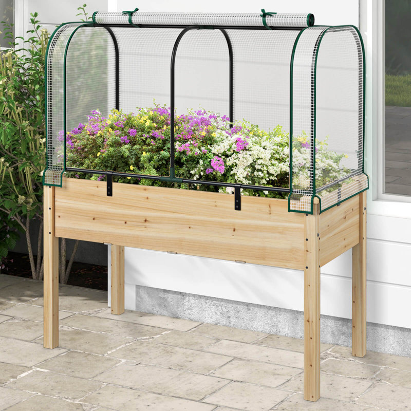 Mini lit de jardin surélevé en bois avec serre, Blanc / Beige