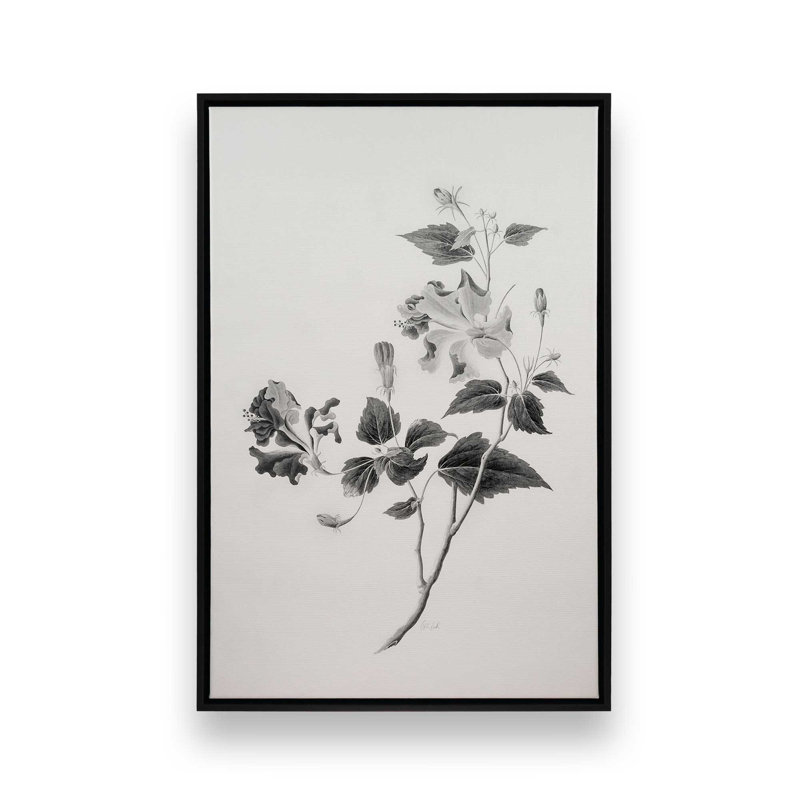 «Botanical I» par Deborah Revell, reproduction d'art sur toile, Noir, Cadre flottant, H 12 po x l 8 po