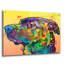 Winston Porter «Good Boy Blue Nose» par Dean Russo Studios, art mural en verre acrylique ACR-40053-1182412490