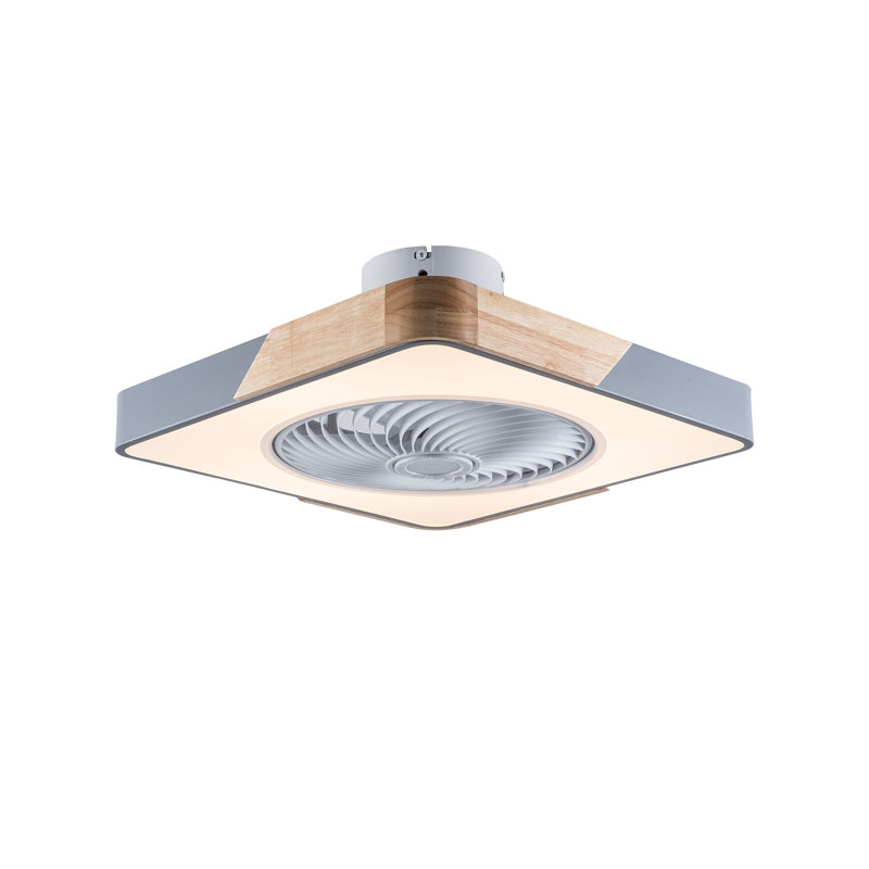 Ventilateur de plafond moderne avec lumière, lumière de ventilateur de plafond de 22 pouces, lumière de ventilateur de plafond avec télécommande